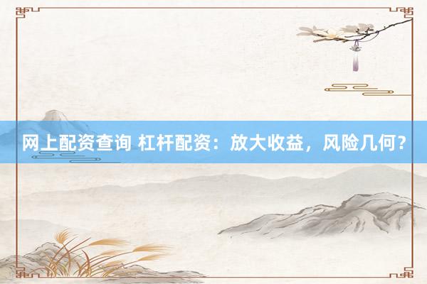 网上配资查询 杠杆配资：放大收益，风险几何？