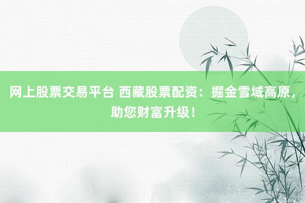 网上股票交易平台 西藏股票配资：掘金雪域高原，助您财富升级！