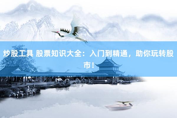 炒股工具 股票知识大全：入门到精通，助你玩转股市！