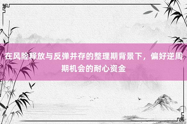 在风险释放与反弹并存的整理期背景下，偏好逆周期机会的耐心资金