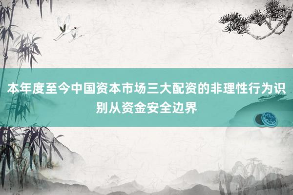 本年度至今中国资本市场三大配资的非理性行为识别从资金安全边界