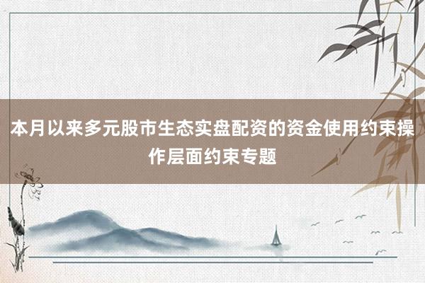 本月以来多元股市生态实盘配资的资金使用约束操作层面约束专题