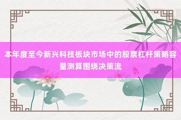 本年度至今新兴科技板块市场中的股票杠杆策略容量测算围绕决策流