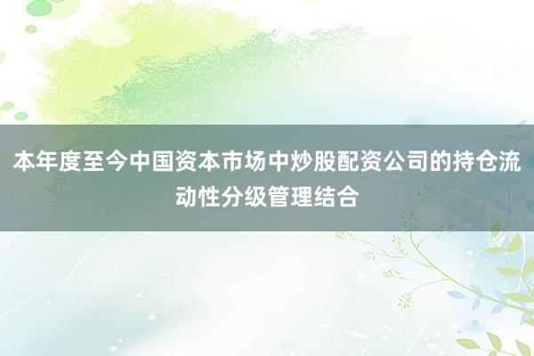 本年度至今中国资本市场中炒股配资公司的持仓流动性分级管理结合