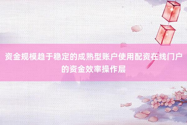 资金规模趋于稳定的成熟型账户使用配资在线门户的资金效率操作层