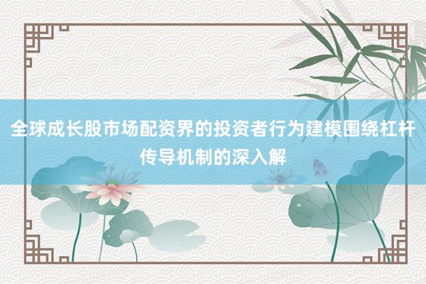 全球成长股市场配资界的投资者行为建模围绕杠杆传导机制的深入解