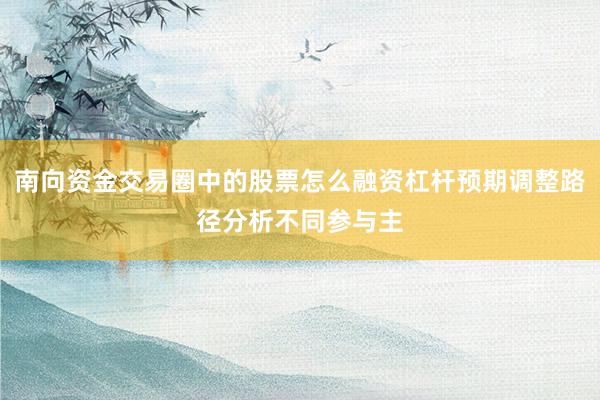 南向资金交易圈中的股票怎么融资杠杆预期调整路径分析不同参与主