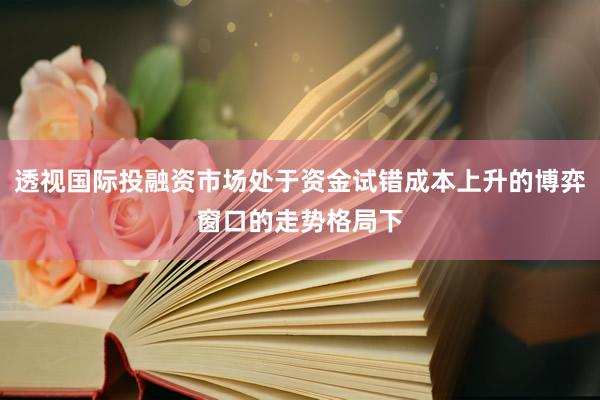 透视国际投融资市场处于资金试错成本上升的博弈窗口的走势格局下