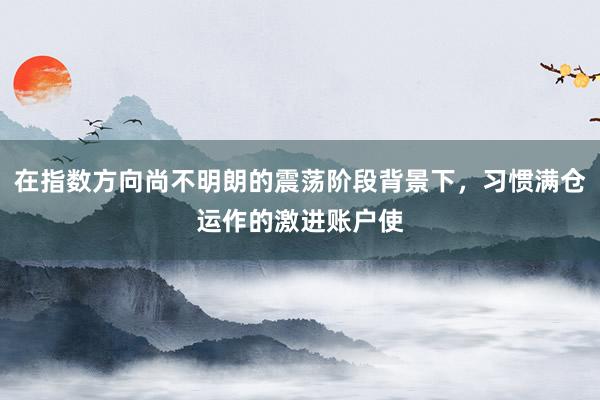 在指数方向尚不明朗的震荡阶段背景下，习惯满仓运作的激进账户使