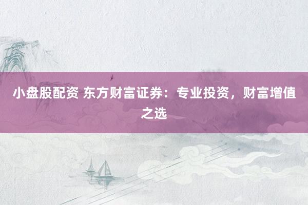 小盘股配资 东方财富证券：专业投资，财富增值之选