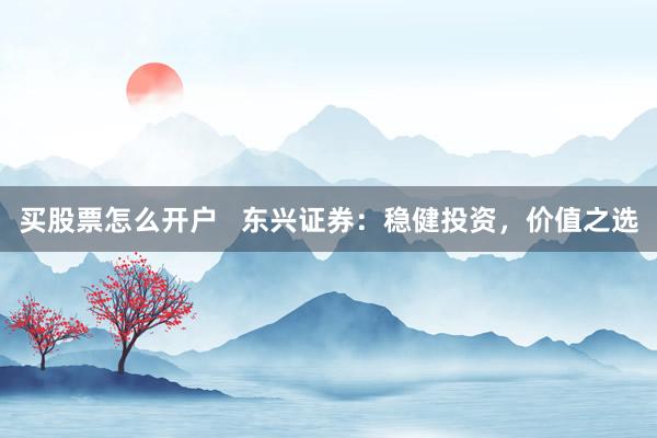 买股票怎么开户   东兴证券：稳健投资，价值之选