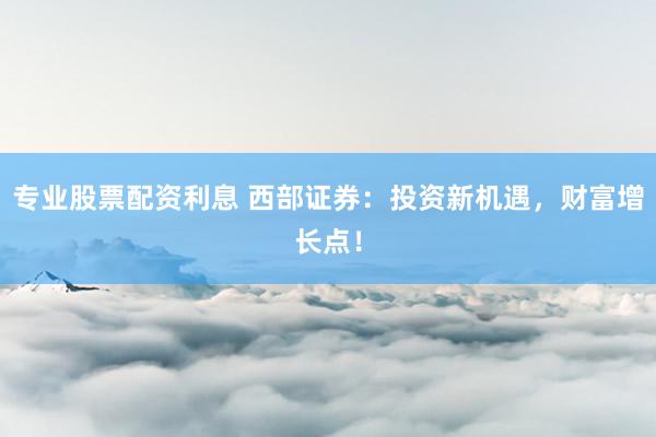 专业股票配资利息 西部证券：投资新机遇，财富增长点！