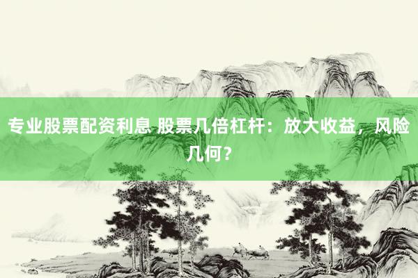 专业股票配资利息 股票几倍杠杆：放大收益，风险几何？