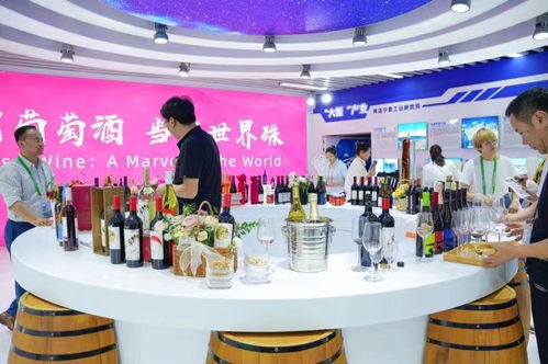 集中展示特色优势产业产品 宁夏展馆亮相第六届中国国际进口博览会